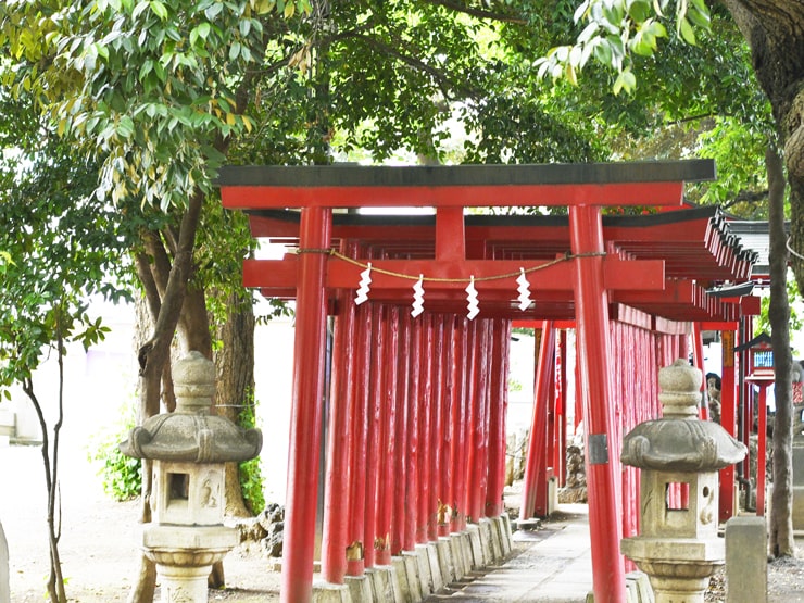 【酉の市】2025年11月11日（火）～24日（月・祝）花園神社内のお待ち合わせについて